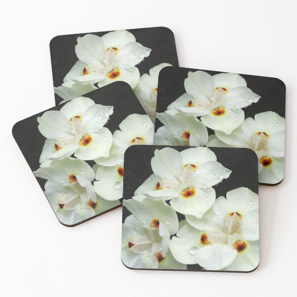 Item preview, White variant of  Dietes Bicolor - Wild Iris designed and sold by Marilyn Harris.
