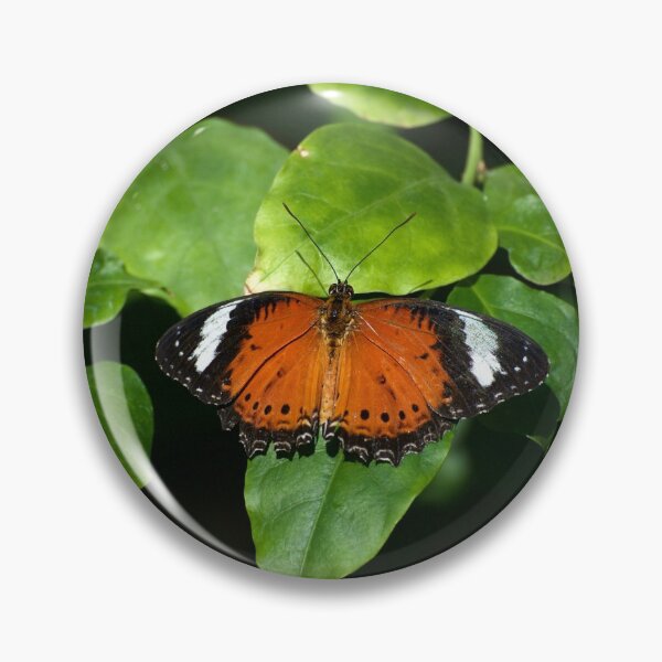 Item preview, Monarch At Rest designed and sold by GP1746.