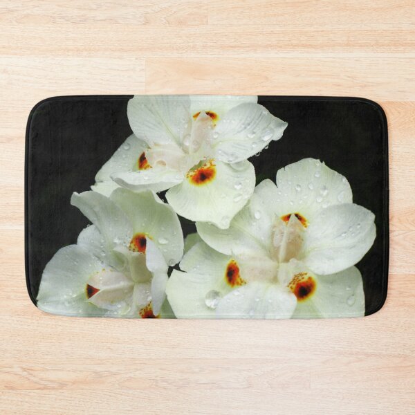 Item preview, White variant of  Dietes Bicolor - Wild Iris designed and sold by Marilyn Harris.