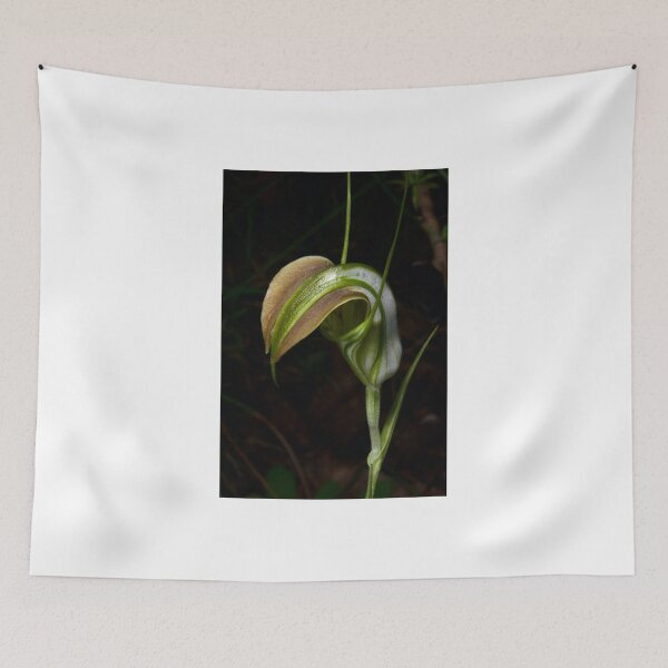 Item preview, Early Cobra Orchid designed and sold by GP1746.