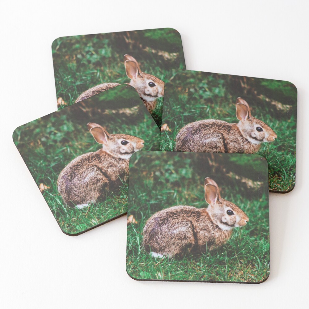 Backyard Bunny Coasters (Set of 4)