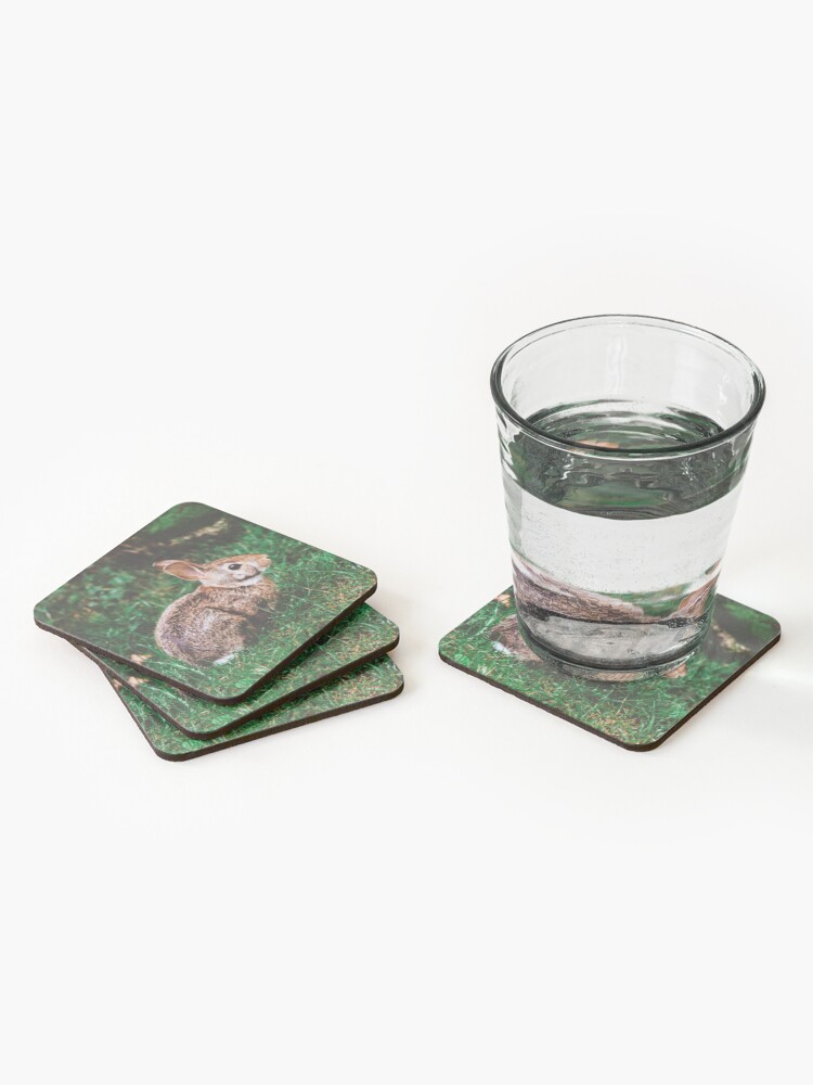 Alternate view of Backyard Bunny Coasters (Set of 4)