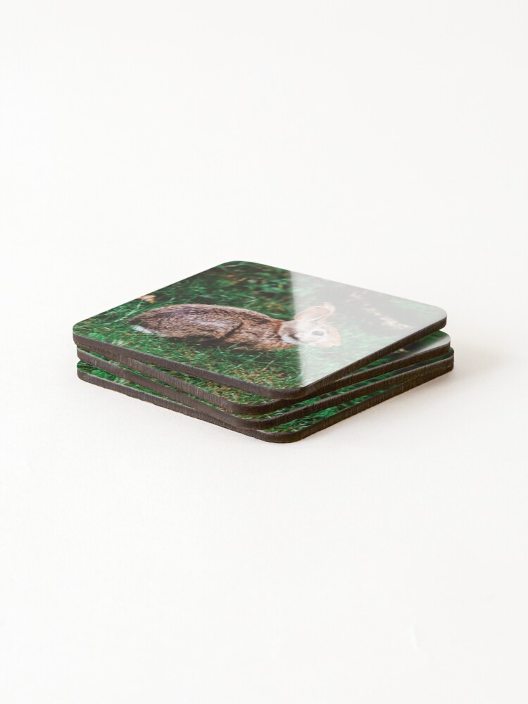 Alternate view of Backyard Bunny Coasters (Set of 4)