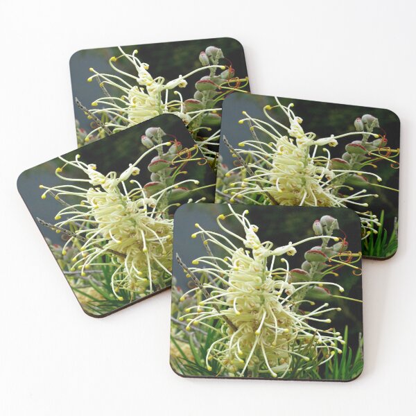 Item preview, Grevillea "Moonlight" designed and sold by Marilyn Harris.