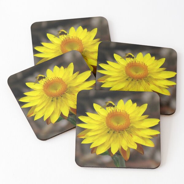 Item preview, Yellow Paper Daisy - Australian Native designed and sold by Marilyn Harris.