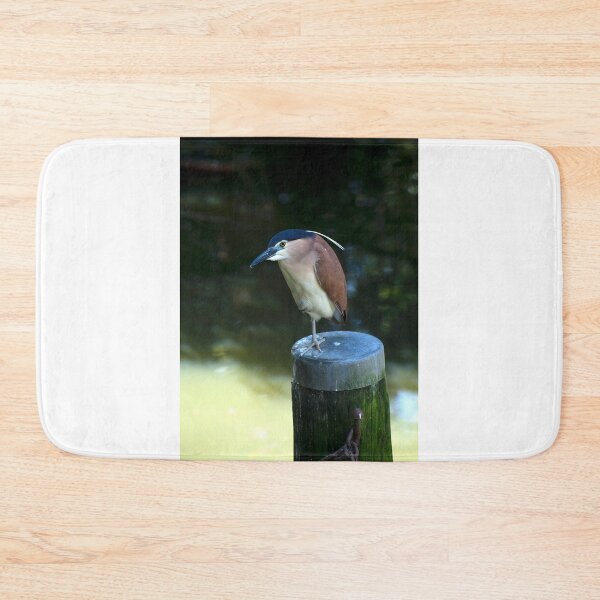 Item preview, Rufous Night Heron designed and sold by GP1746.