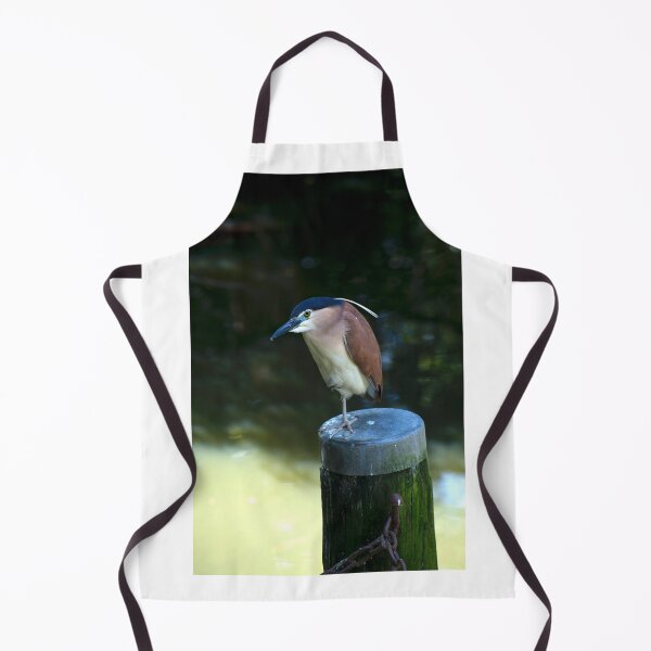 Item preview, Rufous Night Heron designed and sold by GP1746.