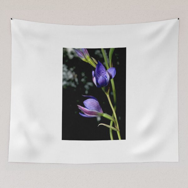 Item preview, Sun Spots designed and sold by GP1746.