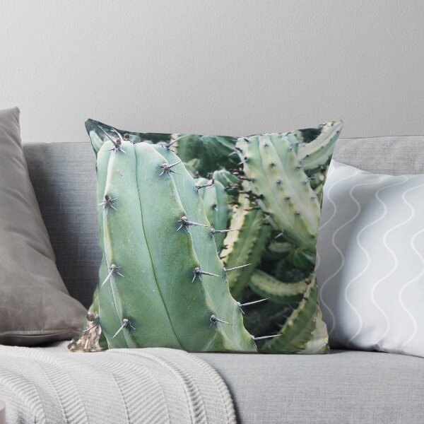 Item preview, Cactus Guy designed and sold by HighCard.