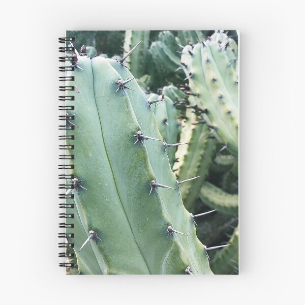 Item preview, Cactus Guy designed and sold by HighCard.