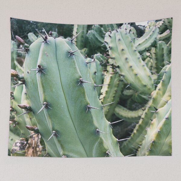 Item preview, Cactus Guy designed and sold by HighCard.