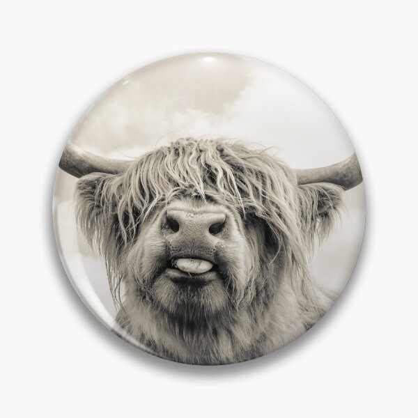 Cheeky Highland Cow Pin