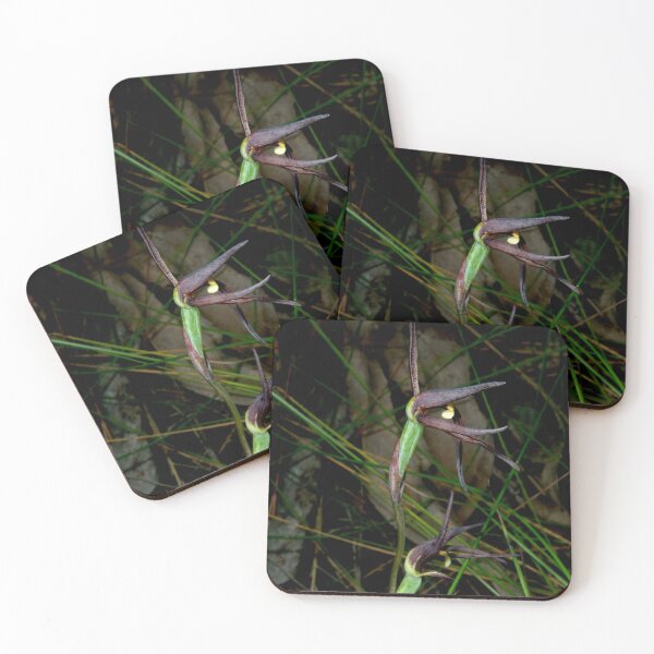 Item preview, Brown Beaks Orchid In Bloom designed and sold by GP1746.