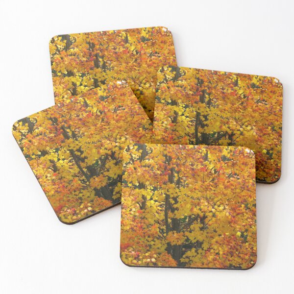 Item preview, Sugar Maple (Acer saccharum) designed and sold by Marilyn Harris.