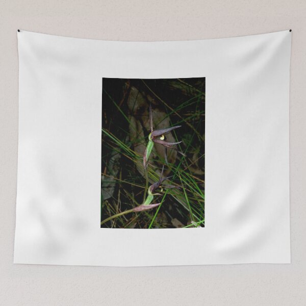 Item preview, Brown Beaks Orchid In Bloom designed and sold by GP1746.