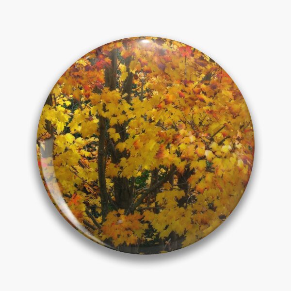 Item preview, Sugar Maple (Acer saccharum) designed and sold by Marilyn Harris.
