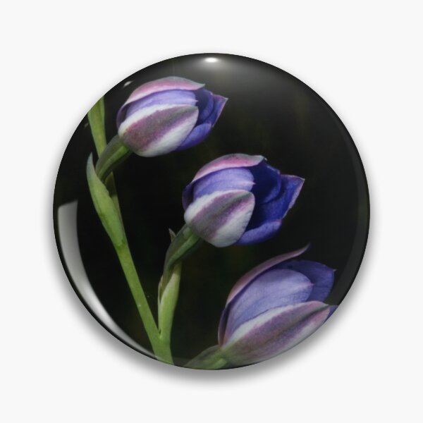 Item preview, Line Of Sun Orchids designed and sold by GP1746.