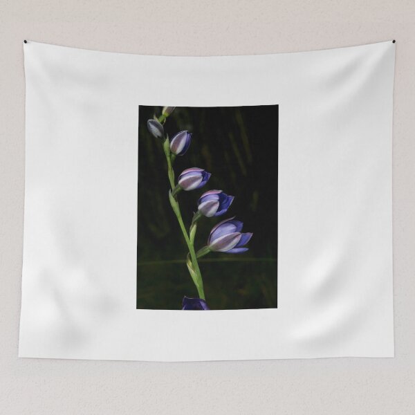 Item preview, Line Of Sun Orchids designed and sold by GP1746.