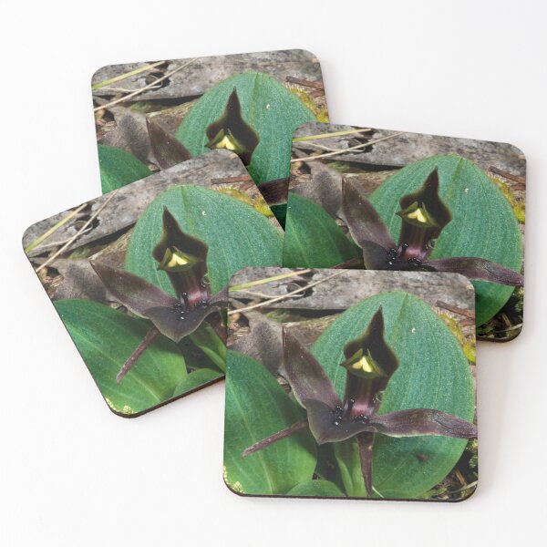 Item preview, Bird In The Forest designed and sold by GP1746.