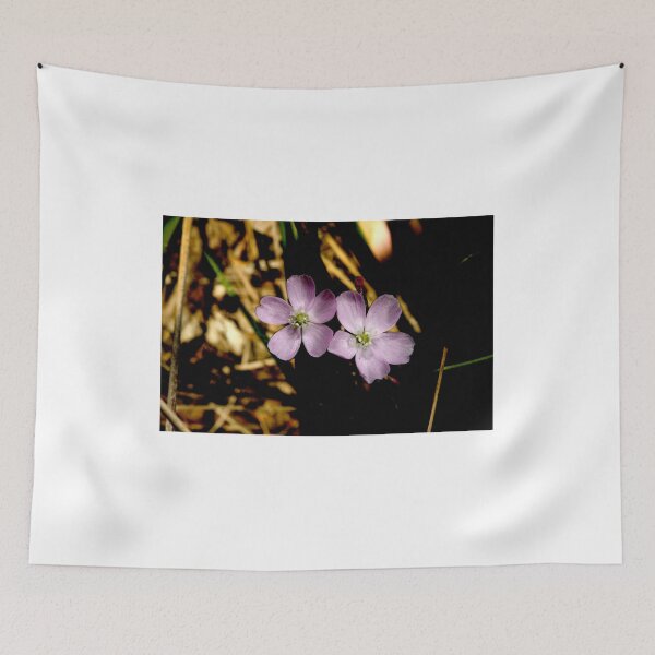 Item preview, Sundew Twins designed and sold by GP1746.