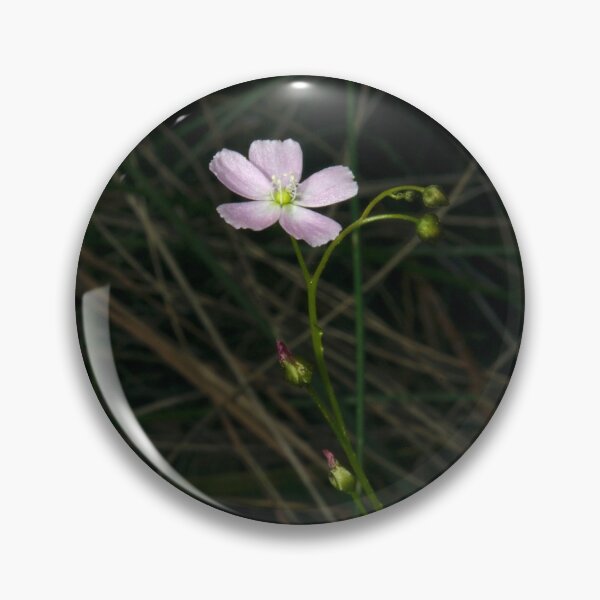 Item preview, Delicate Sundew designed and sold by GP1746.