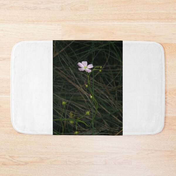 Item preview, Delicate Sundew designed and sold by GP1746.