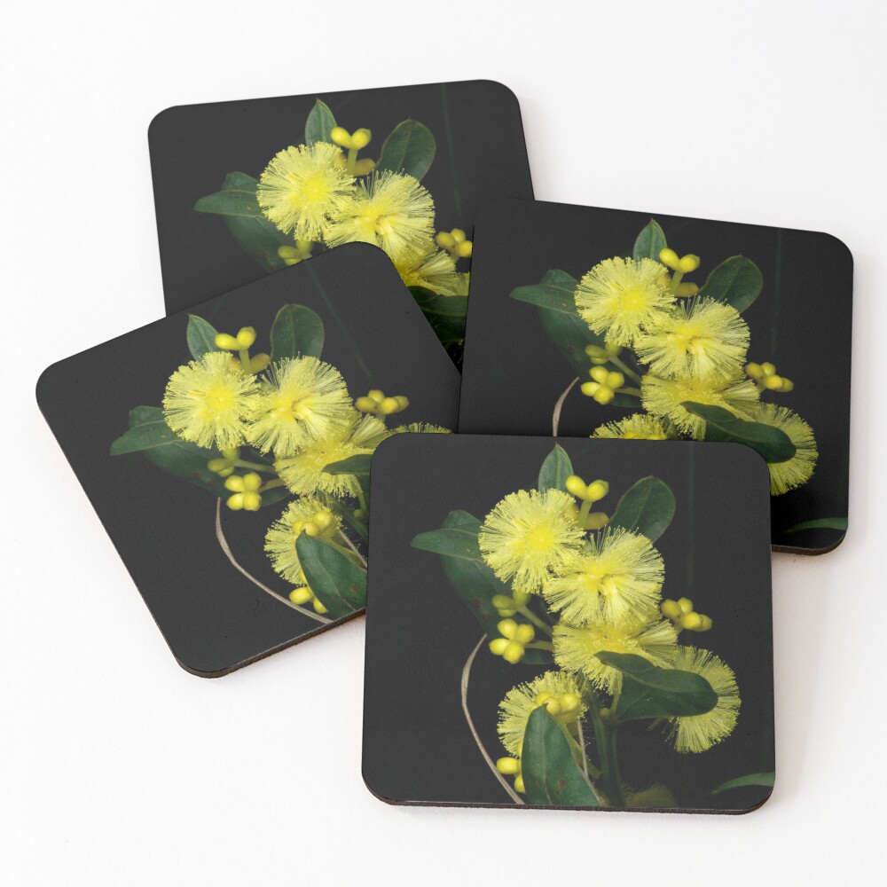 Item preview, Coasters (Set of 4) designed and sold by GP1746.