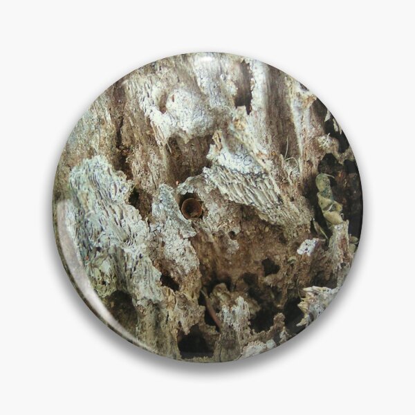Item preview, Bark Macro # 3 designed and sold by ginnymac.