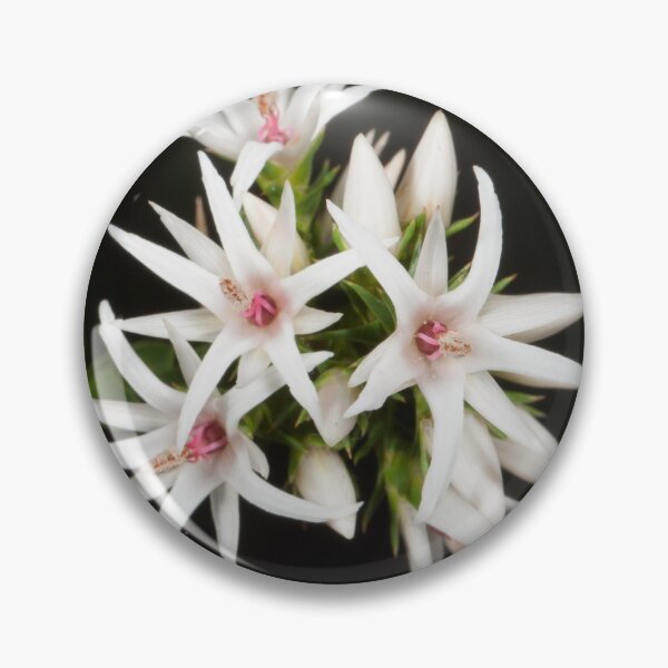 Item preview, Pointed in Pink (Sprengelia incarnata) designed and sold by AlienMind.