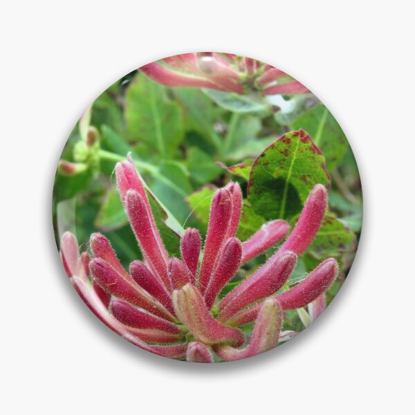 Item preview, honeysuckle flower designed and sold by KathleenDawson.