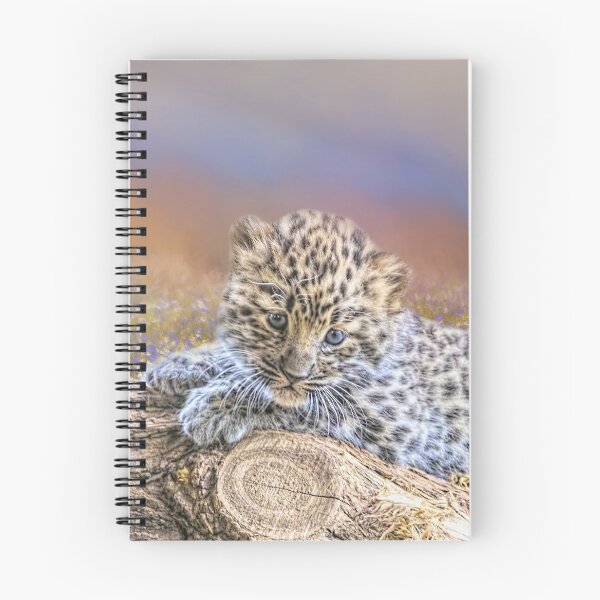 Aperçu de l'œuvre Amur Leopard Cub créée et vendue par Elisabeth Lucas.