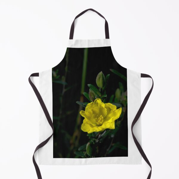 Item preview, Showy Guinea Flower designed and sold by GP1746.