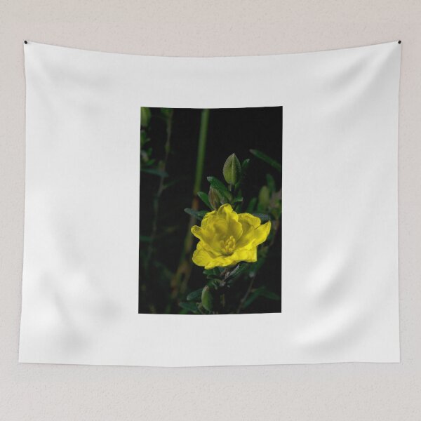 Item preview, Showy Guinea Flower designed and sold by GP1746.