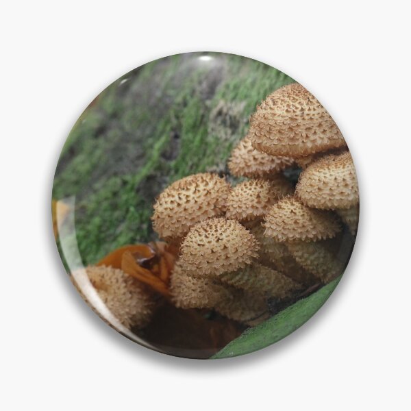 Item preview, Shaggy scalycap designed and sold by cuprum.
