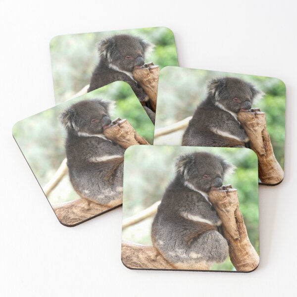 Item preview, Koala Nap Time designed and sold by GP1746.
