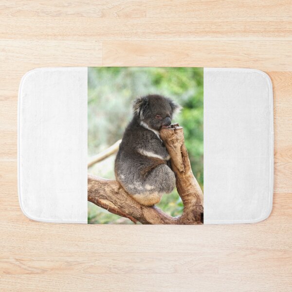 Item preview, Koala Nap Time designed and sold by GP1746.