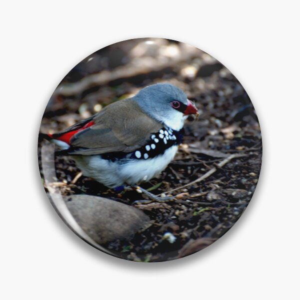 Item preview, Diamond Firetail designed and sold by GP1746.