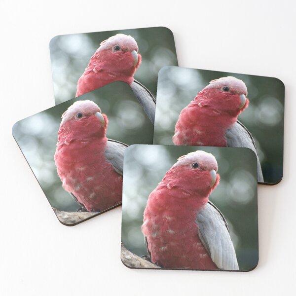 Item preview, Curious Galah designed and sold by GP1746.