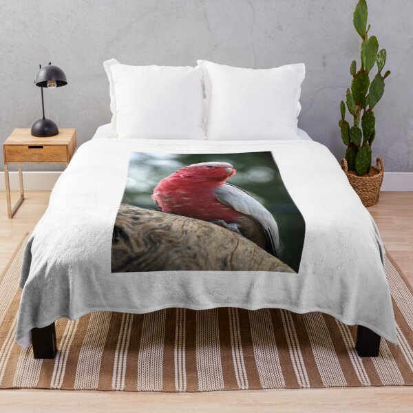 Item preview, Curious Galah designed and sold by GP1746.