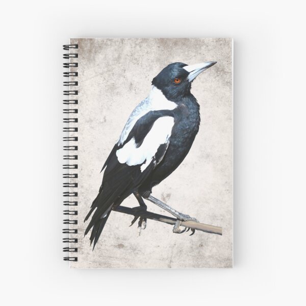Item preview, Australian Magpie designed and sold by watertigerleo.
