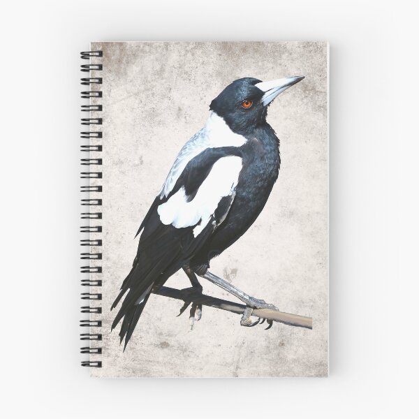 Item preview, Australian Magpie designed and sold by watertigerleo.