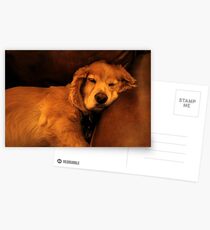 Couch Potato Postcards