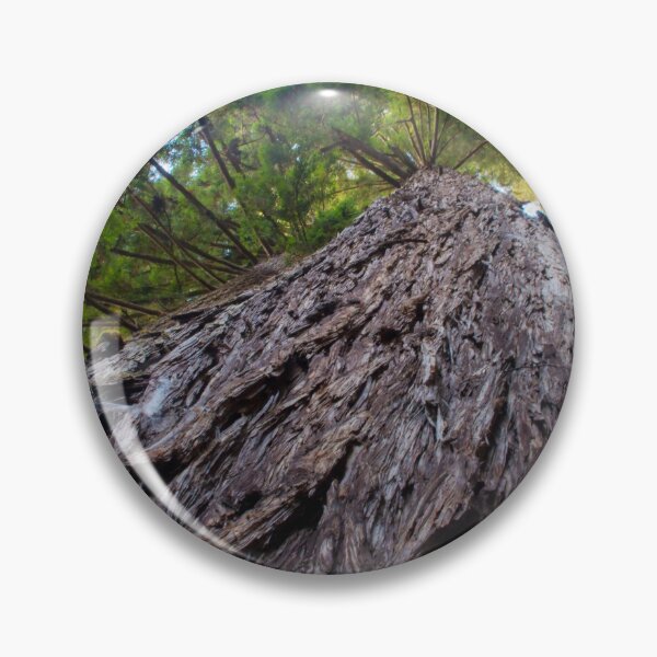 Artikelvorschau, Erinnerung an die Redwoods entworfen und verkauft von PepperMendez.