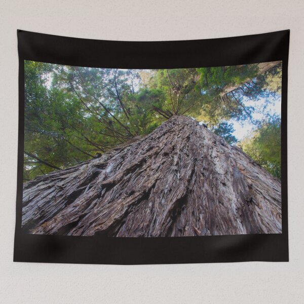 Item preview, Remembering the Redwoods designed and sold by PepperMendez.