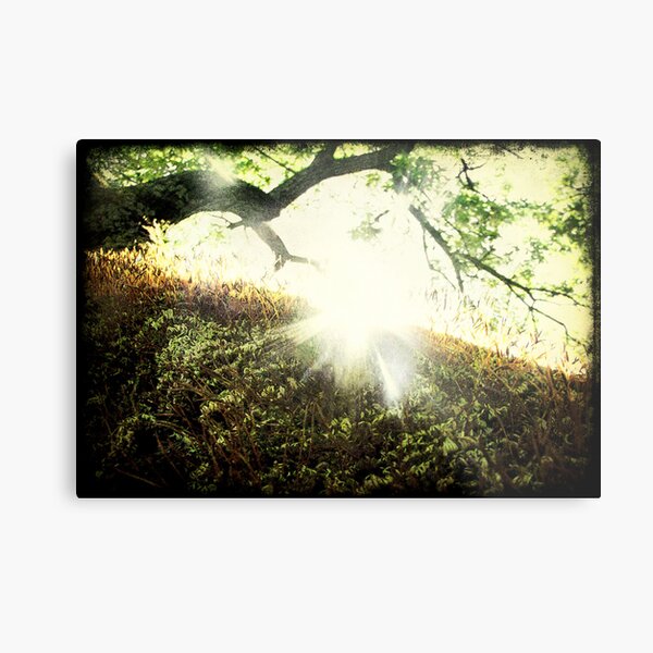 "Winter Always Turns into Spring" Metal Print