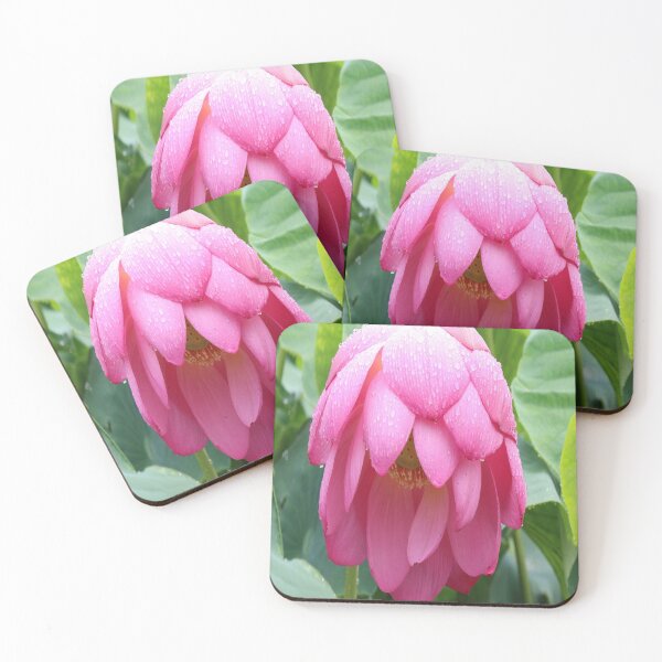 Item preview, lotus flower designed and sold by virilamissa.