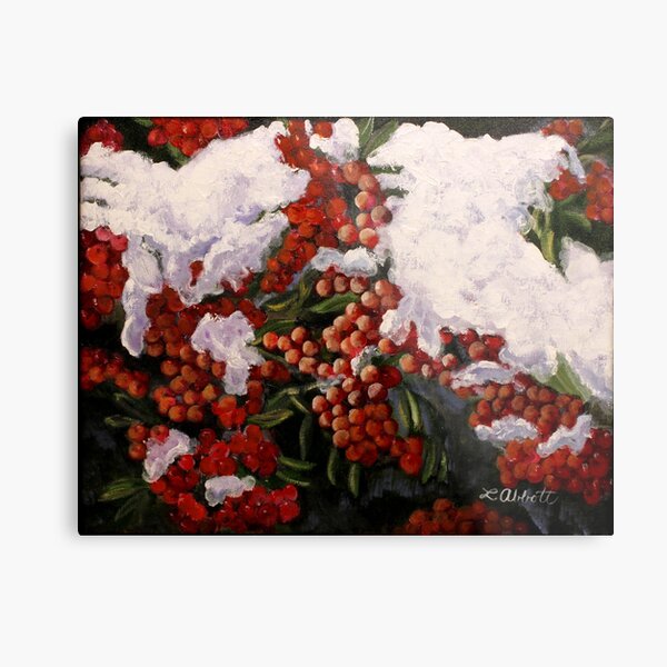 "Resilience"-- Winter Berries in Snow Metal Print