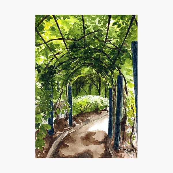 Item preview, Garden Archway designed and sold by Amelia Hayes.