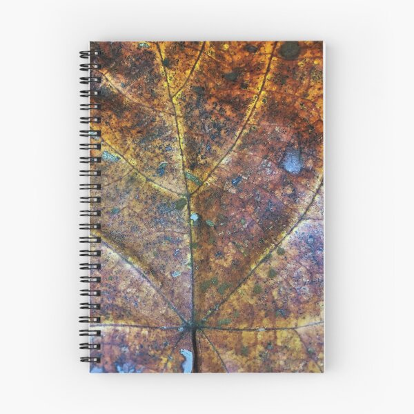Item preview, Autumn leaf veins designed and sold by Naturevibez.