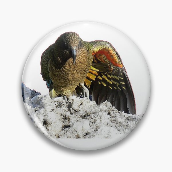 Item preview, Kea Bird designed and sold by wootee-designer.